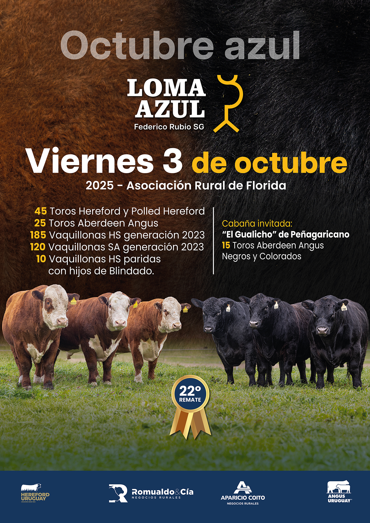 22° Loma Azul